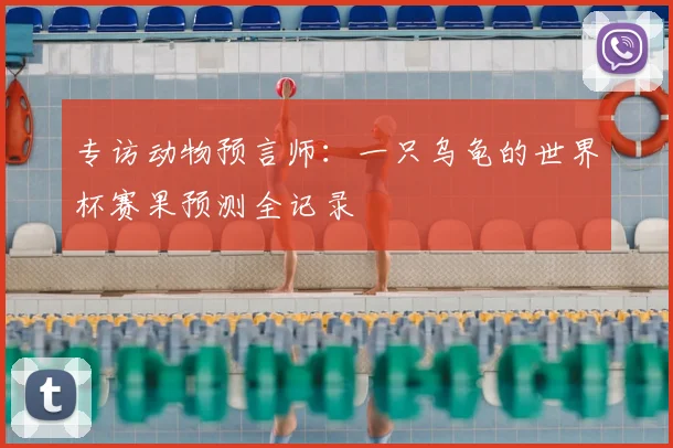 专访动物预言师：一只乌龟的世界杯赛果预测全记录