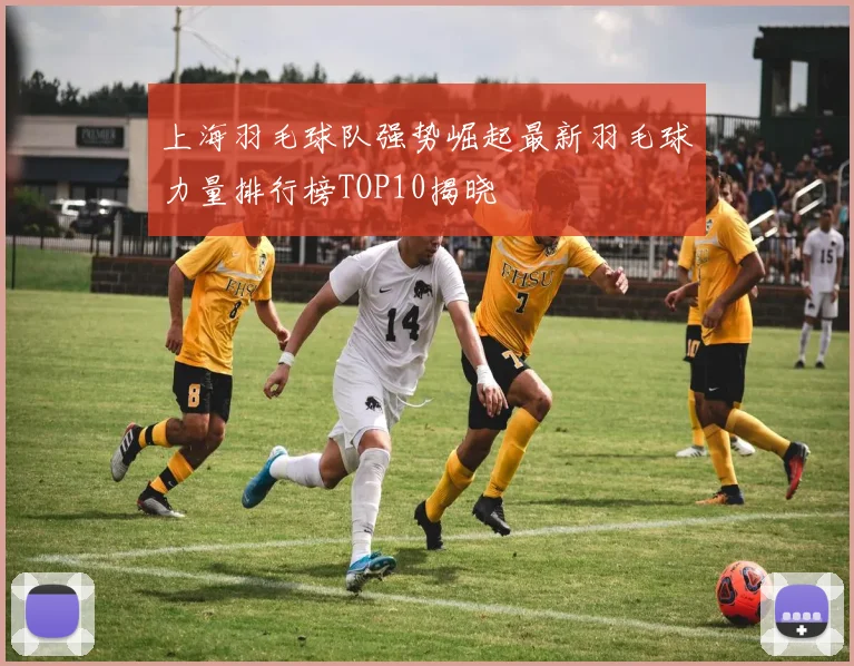 上海羽毛球队强势崛起最新羽毛球力量排行榜TOP10揭晓