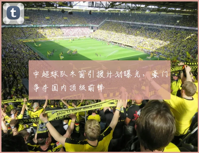 中超球队冬窗引援计划曝光,豪门争夺国内顶级前锋