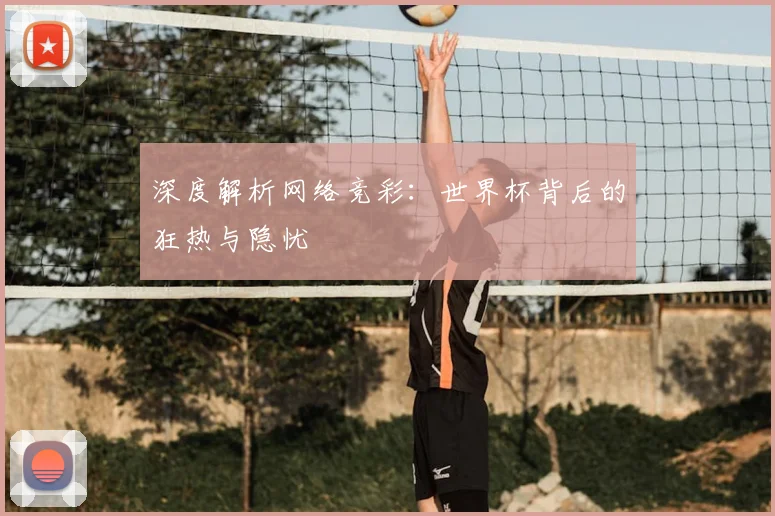 深度解析网络竞彩：世界杯背后的狂热与隐忧