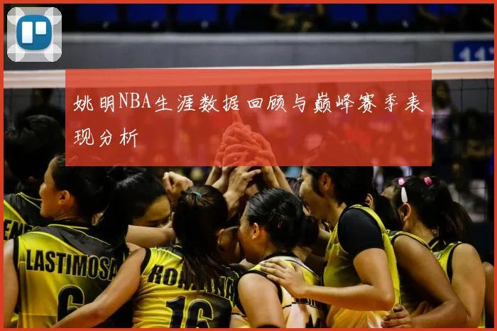 姚明NBA生涯数据回顾与巅峰赛季表现分析