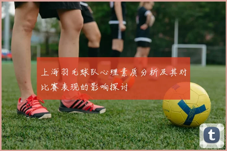 上海羽毛球队心理素质分析及其对比赛表现的影响探讨