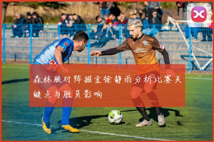 森林狼对阵掘金徐静雨分析比赛关键点与胜负影响