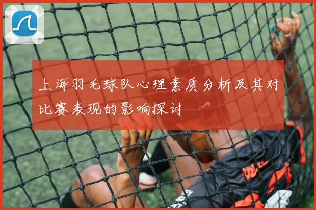 上海羽毛球队心理素质分析及其对比赛表现的影响探讨