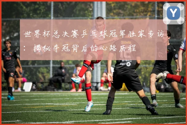 世界杯总决赛乒乓球冠军独家专访：揭秘夺冠背后的心路历程