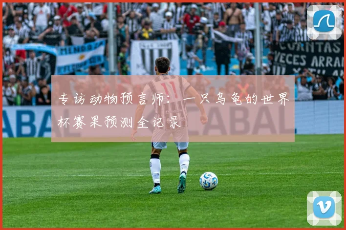 专访动物预言师:一只乌龟的世界杯赛果预测全记录