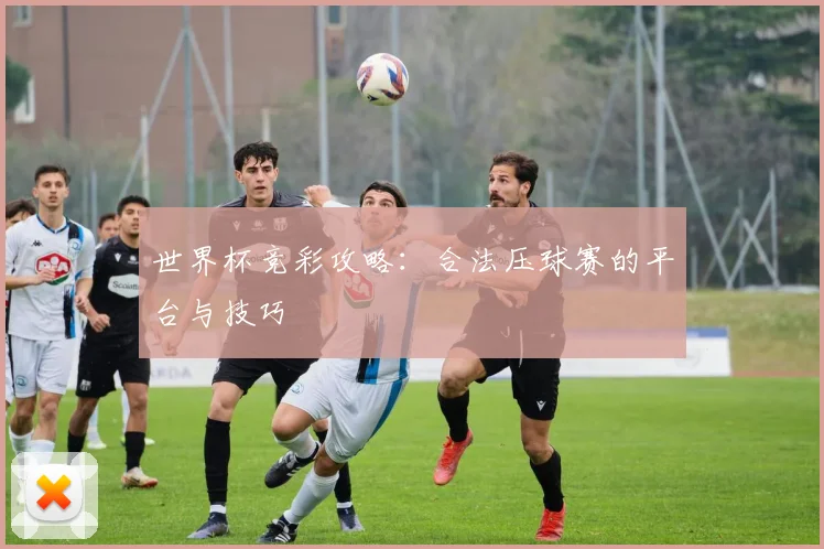 世界杯竞彩攻略：合法压球赛的平台与技巧
