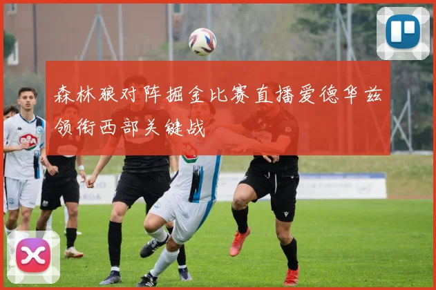 森林狼对阵掘金比赛直播爱德华兹领衔西部关键战